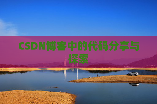 CSDN博客中的代码分享与探索